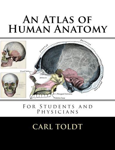 An Atlas Of Human Anatomy For Students And Physicians By Carl Toldt