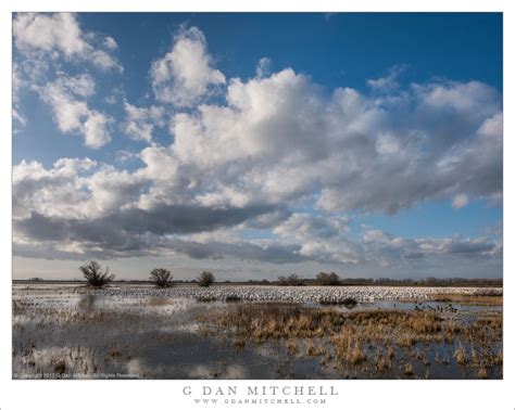 G Dan Mitchell Photograph Winter Wetlands And Sky