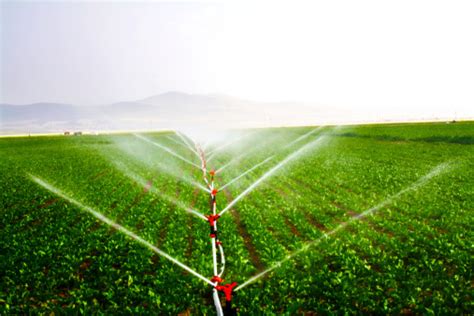 Able to continue without causing damage.: Irrigation