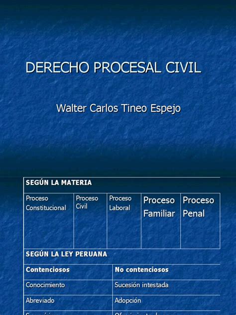 Etapas Del Proceso Civil