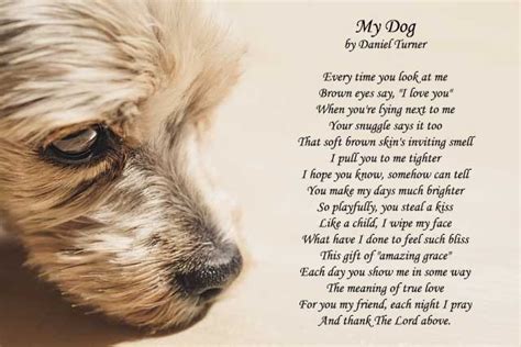 15 Best Dog Poems Love Unconditional Dog Loyalty Poems