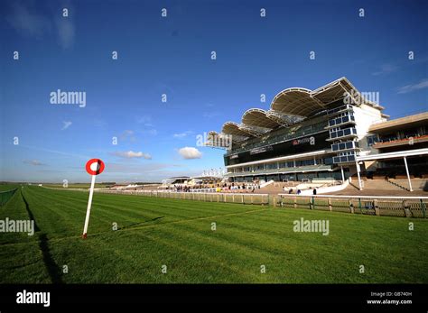 Horse Racing Newmarket Stock Photo Alamy