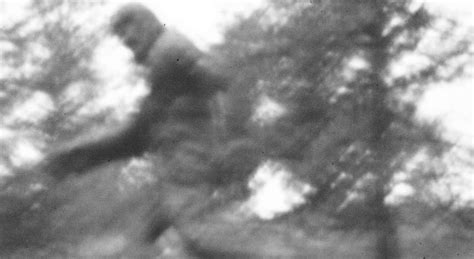 Finally Some Solid Science On Bigfoot Science News