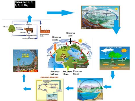 Biologia Ambiental Ciclos BiogeoquÍmicos