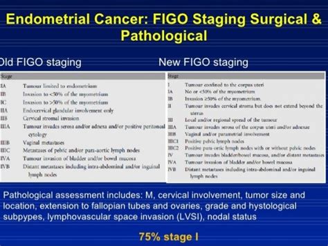 Figo Staging Endometrial Cancer 2009 Figo Staging System For