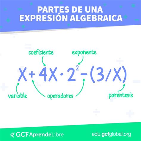 Partes De Una Expresión Algebraica Expresiones Algebraicas Problemas