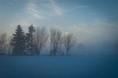 A Foggy Day On Imagine Farm Heather Ogg Blog