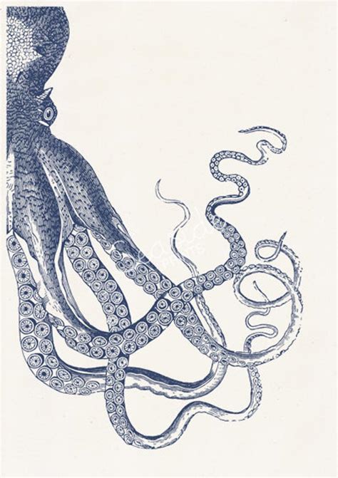 Vintage Octopus N 20 Sea Life Print Navy Blue Big Octopus