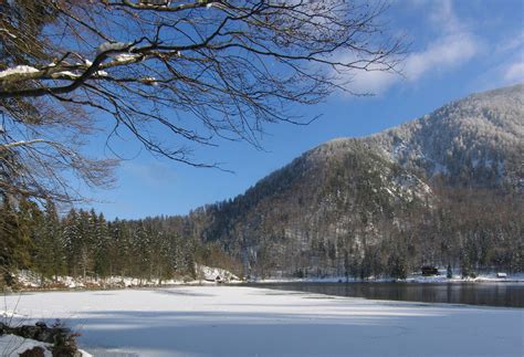 Visit And Explore Laghi Di Fusine Lakes Near Travisio Italy