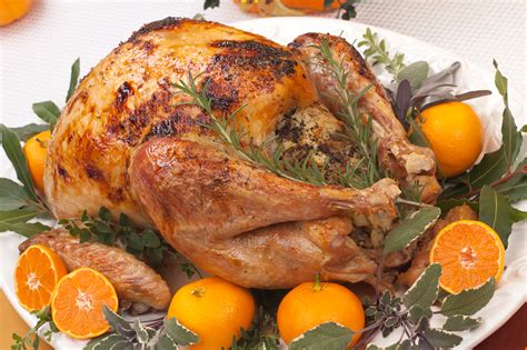 Turkey intervened militarily on cyprus in 1974 to prevent a greek takeover of the island and has since acted as patron state to the turkish republic of northern cyprus, which only turkey recognizes. Roast Turkey, Three Ways | Scholastic | Parents