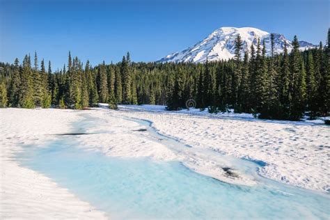 Mount Rainier From A Snow Covered Reflection Lake Stock Photo Image
