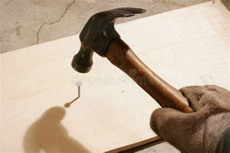 Hammering A Nail Stock Image Image Of Working Hitting 2199855