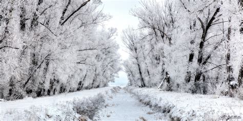 Tổng Hợp 300 ảnh Thiên Nhiên Mùa đông Mới Nhất Wikipedia