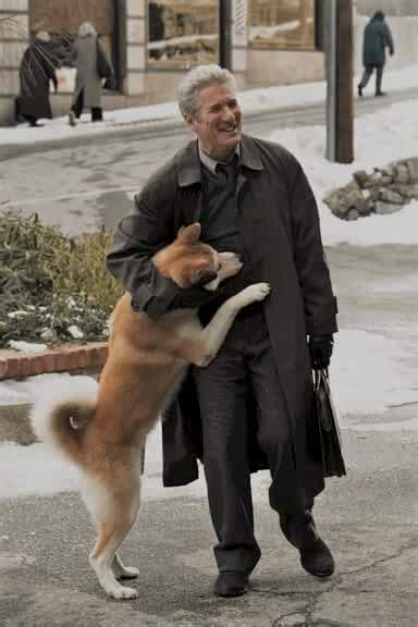 The Incredible True Story Of Japans Loyal Dog Hachiko Movie Review