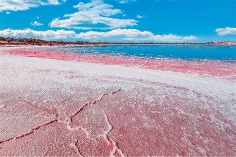 Did You Know There Are Bubblegum Pink Lakes In Australia Waarmedia