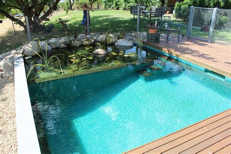 DIY Pool How To Build A Natural Swimming Pool