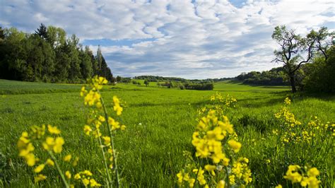 Fotos Gratis Paisaje Naturaleza Césped Cielo Campo Prado