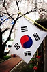 Corea paisajes South Korea Flag, South Korea Seoul, Korea Sud, South ...