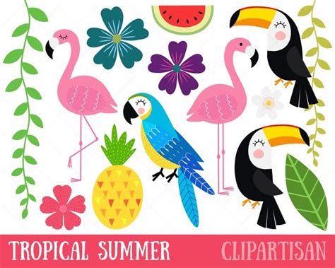 Tropical Clipart Tropical Birds Clip Art Tropical Summer Etsy In 2021