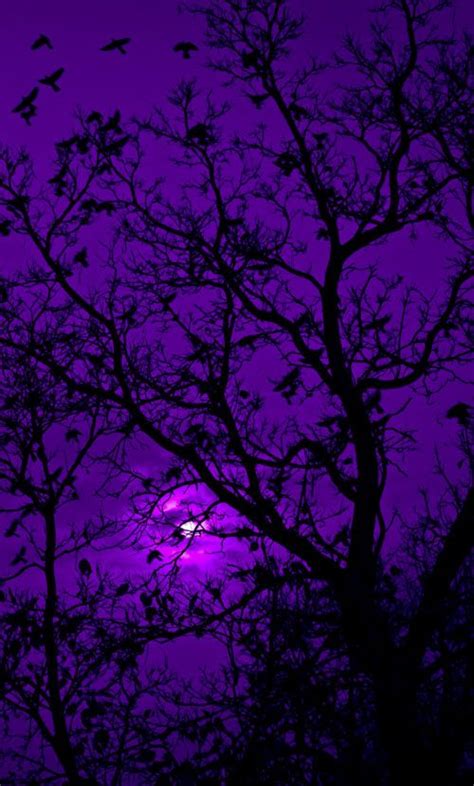 Dark Purple Aesthetic Background