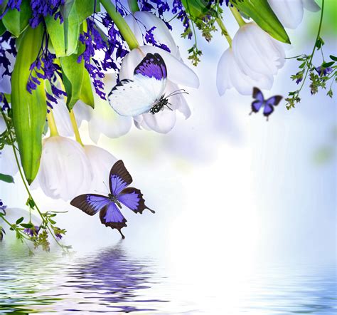 Water And Butterflies Wallpapers On Wallpaperdog