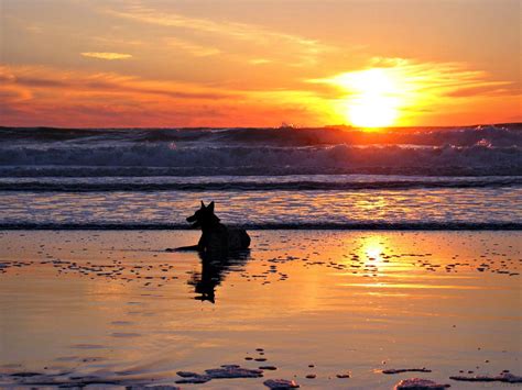 Savor The Sunset Ocean Beach San Francisco Sunset Ocean Beach