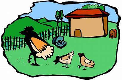 Clip Farm Clipart Chickens Retirement Poultry Cliparts