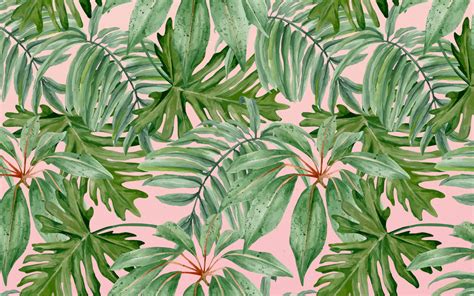 Palms Desktop Wallpaper More Than Motivation Study