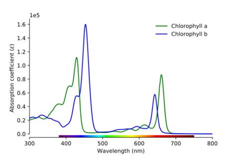 Espectro de absorción qué es absorción atómica espectro visible