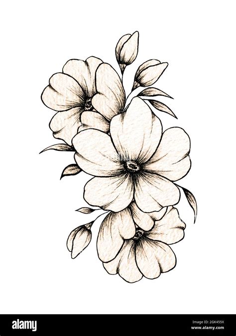 Simple Hand Drawn Floral Composition With Various Big And Small Flowers