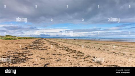 The Long Stretch Of Beach At West Sands In St Andrews Fife Is Backed