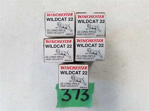 Winchester Wildcat 22 22 Lr High Velocity 40 Gr 5 X 50 Adam