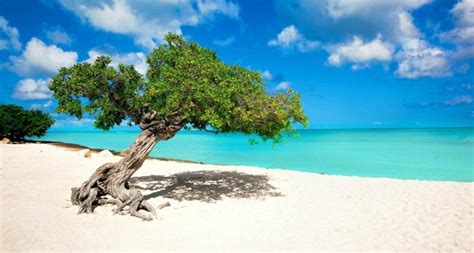 Stunning Destinations In Aruba That Will Take Your Breath Away