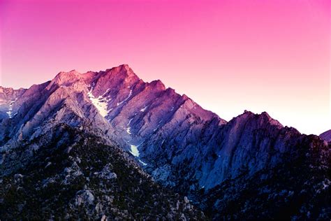 Dandelion 4k Ultra Hd Wallpaper Purple Mountains 4k
