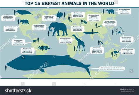 Biggest Animals In The World Coolguides