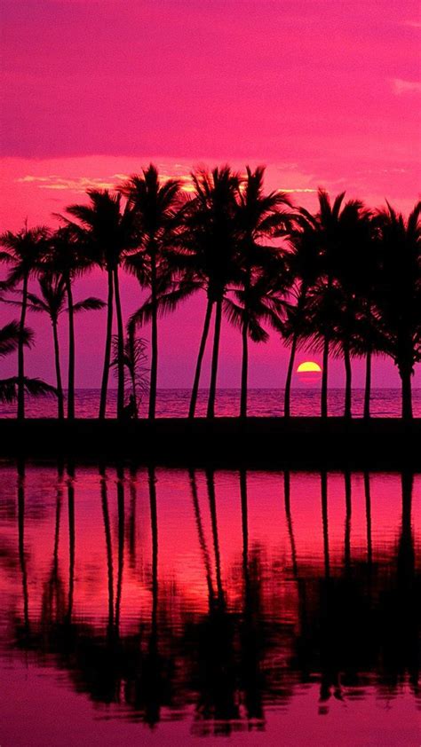 Pink Sunset Wallpaper Home Screen Iphone Wallpaper Tropical Sunset
