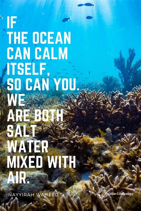 Ocean Inspiration And Motivation From Nayyirah Waheed If The Ocean