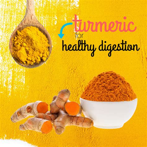 Did You Know Turmeric Helps Maintain A Healthy Digestive Function