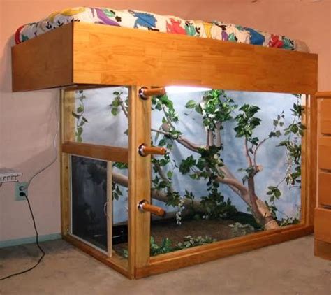 My Dad Built This Lizard Cage Under My Bed When I Was Younger 539x480