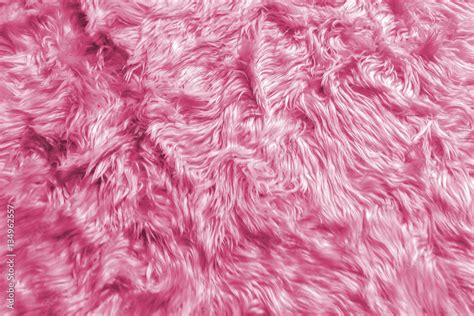 Wool Backgrounds Texture Closeup Of Natural Soft Pink Animal Fluffy