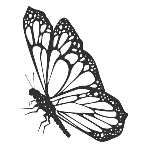 Monarch Butterfly Png Transparent Hd Photo Png All Png All