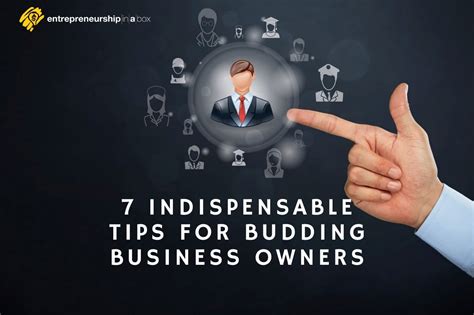 How to Be a Successful Entrepreneur: 7 Indispensable Tips for Budding Business Owners