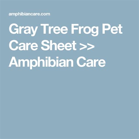 Gray Tree Frog Pet Care Sheet With The Words Amphibian Care On It