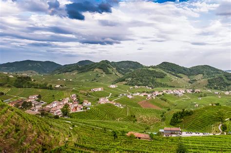 Veneto wine region