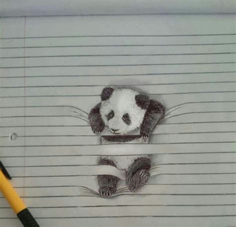 Optical Illusions Pencil Drawings Of Animals Panda Drawing Drawings
