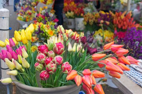 Flowers At An Outdoor Flower Market Stock Photo Download Image Now