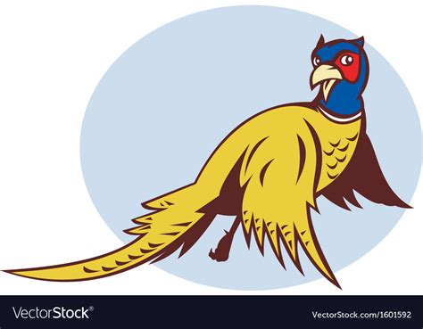 Cartoon Pheasant Bird Flying Royalty Free Vector Image