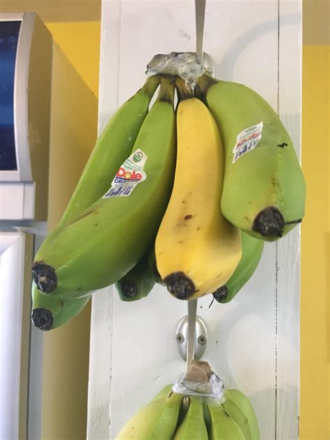 One Banana In This Bunch Is Ripe While The Others Arent R
