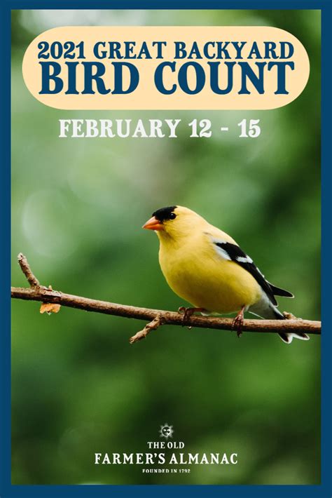 2021 Great Backyard Bird Count Citizen Science Projects In 2021