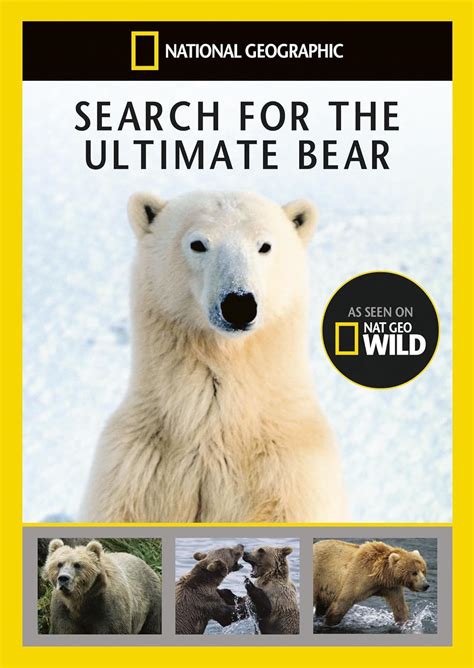 National Geographic Search For The Ultimate Bear Dvd Uk